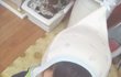 (두번쨰수정)☆★☆★☆★☆★대박 귀여운 내.친.소(내 친척동생을 소개합니다.)☆★☆★☆★☆★☆★