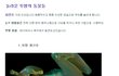 [사진有] 놀라운 투명동물들