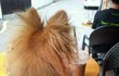 한번씩만꼭읽어주세요(부탁드립니다)