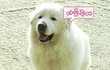 바람피는여친 이렇게 잡았습니다!!!!!!!!!!