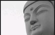 ★★★(사진有) 지하철에서 액션영화를 찍던 사람을 봤어요 ★★★