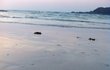 14. 술취해서 고백한 우리 사장님.