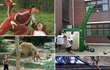★펌)1초후웃긴사진★