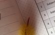 ★★★★★★★★★급함ㅠㅠㅠㅠㅠㅠㅠ★★★★★★★★★★