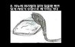 8탄★그림사진有★ㅋㅋ일반인들미친듯이공감한다★