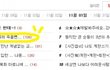 ★2탄★[고양이판] 물려 죽을뻔한 새끼길냥이를 돌보게 된 사연 (사진有) 