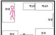 집에 도둑이 들었는데 성폭행당할뻔 했습니다.
