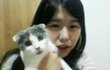 고양이털 초콜렛