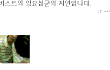 (인증有)저는 양요섭군의 지인입니다2