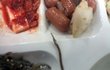구내식당 멸치볶음에서 나온 정체모를녀석 