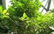 [펌] 싸이코패스 체험해보기