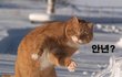 [아파트] 로즈말이의 무서운 이야기