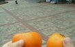 (사진有)★★★★★착한일 했어요ㅎㅎ★★★★★
