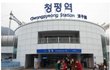 [必] 남자들아 이런 솔로도 있다. 우리어때?(사진有)