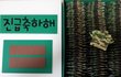 사진有)  군복쏠라씨완성 !