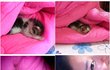 (추가) [고냥이판] 스파를 즐기는 고냥이 벨을 소개합니다~