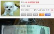 나 알바하다가 오천만원 주음