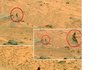 ★★★ NASA 우주 생명체 발견 "숨기고 있다?!" NASA 직원의 폭로 ★★★