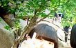 ★★기염돋는내친구생일축하좀!!(사진有有)★★