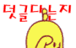 삼공판 귀염둥이들 봅니다~!