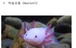 ★펌★ 세계의 신비한 물고기