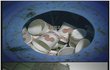 매우 불편한 진실