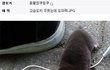 길지만빵터지는미친댓글45ㅋㅋㅋㅋㅋㅋㅋㅋㅋㅋㅋㅋㅋㅋㅋㅋㅋㅋㅋㅋㅋㅋㅋㅋㅋㅋㅋㅋㅋ