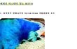 ★★★★세계 미스테리한 장소best 10★★★★