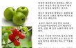 --수정1 --★☆ 베플인증글 *80A에서 75C로 변함* ☆★