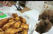 ★☆피식돋는개판★☆ 치킨이 먹고싶었던 개....