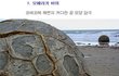 ★★★★자연의 신기한 현상 best 10★★★★