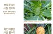 ★★우리가몰랐던과일의실체★★★