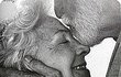★★★11살이 쓴 시라는데....★(소름)★★