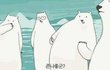 ☆★☆진심 레알  웃긴사진☆★