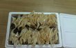 ### 초콜렛 50인분 만들기 프로젝트 ###
