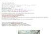 ◆93탄 일본이 빼앗아간 우리나라 나무 (펌)◆
