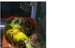 사진有))백화점안음식점실태ㅡㅡ (빡침주의)