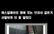 에스컬레이터에