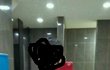 저희 오빠 좀 도와주세요ㅠㅠ...