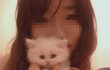 ★★9층에서 떨어지고 살아난 우리 고양이 ★★