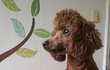 개판  *싱*크*1000**패션왕에 나온 은진이 강*아*지**초코**