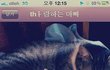 2탄) 태어난지 2주된 우리집 막둥이 하루 - ♡