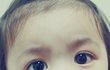 ★★★얼짱도전(진지하게평가해주셈)★★★