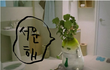 충격실화,사진있음)무서운이야기