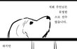 어느 스모선수의 이야기