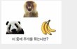 동양인과 서양인의 차이 (+모바일배려추가)