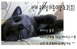 사진有) ★내 동거남녀를 소개합니다★