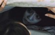 이해하면 무섭고도 슬픈이야기 ★시리즈2★ 5편