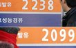 40리터로 서울-부산 왕복하는 자동차, 하이브리드!