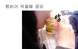 [사진有] ★★★햄버거 먹을때 공감★★★
